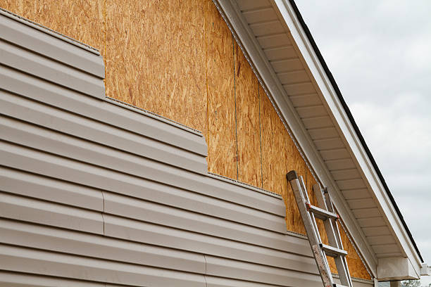 Professional Wood Siding technician working in Dover, KY